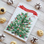 Cookie Advent Cookbook: With 24 festive recipes
