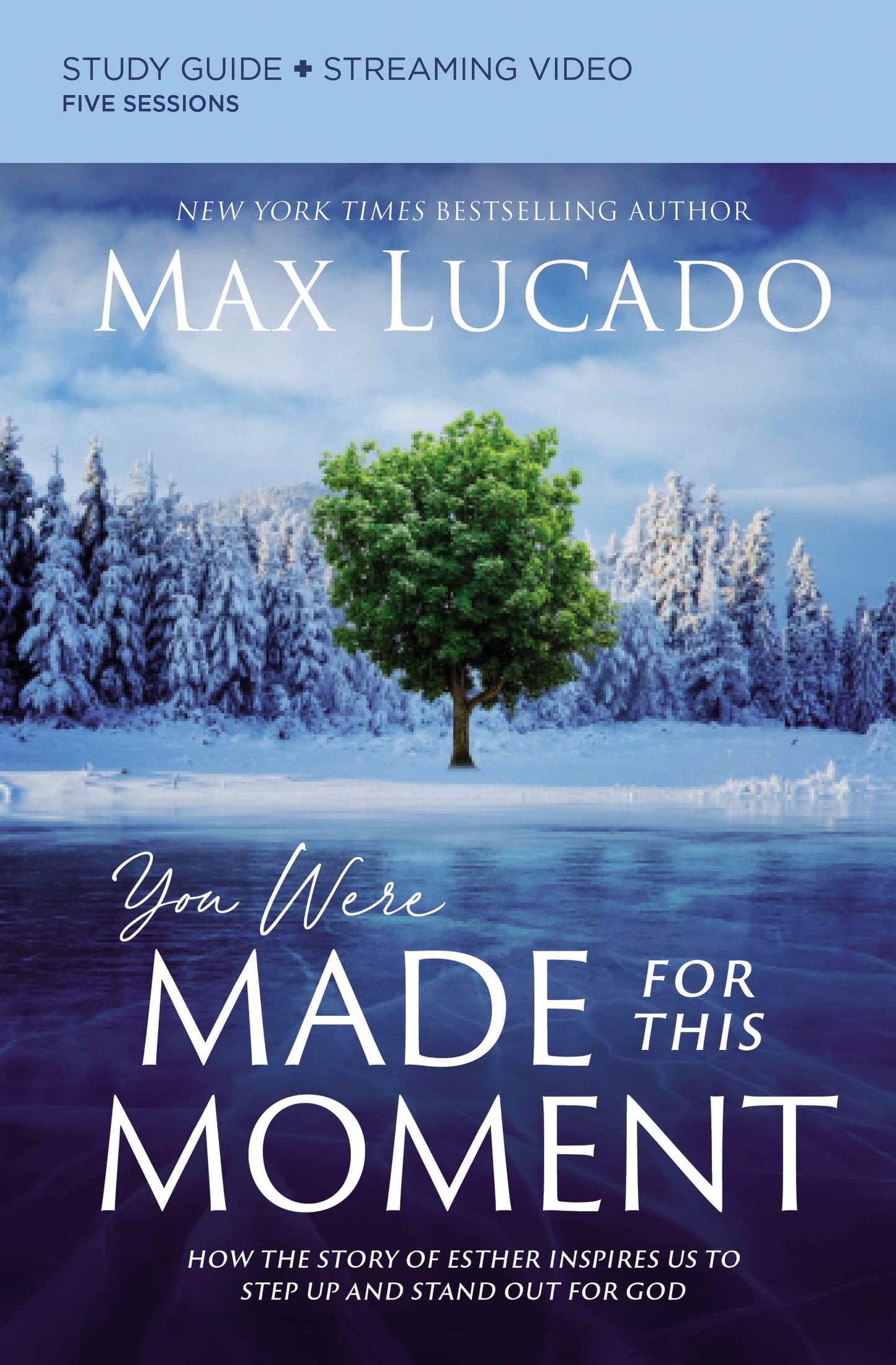 You Were Made for This Moment Bible Study Guide plus Streami