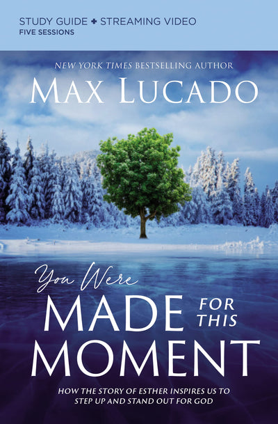You Were Made for This Moment Bible Study Guide plus Streami