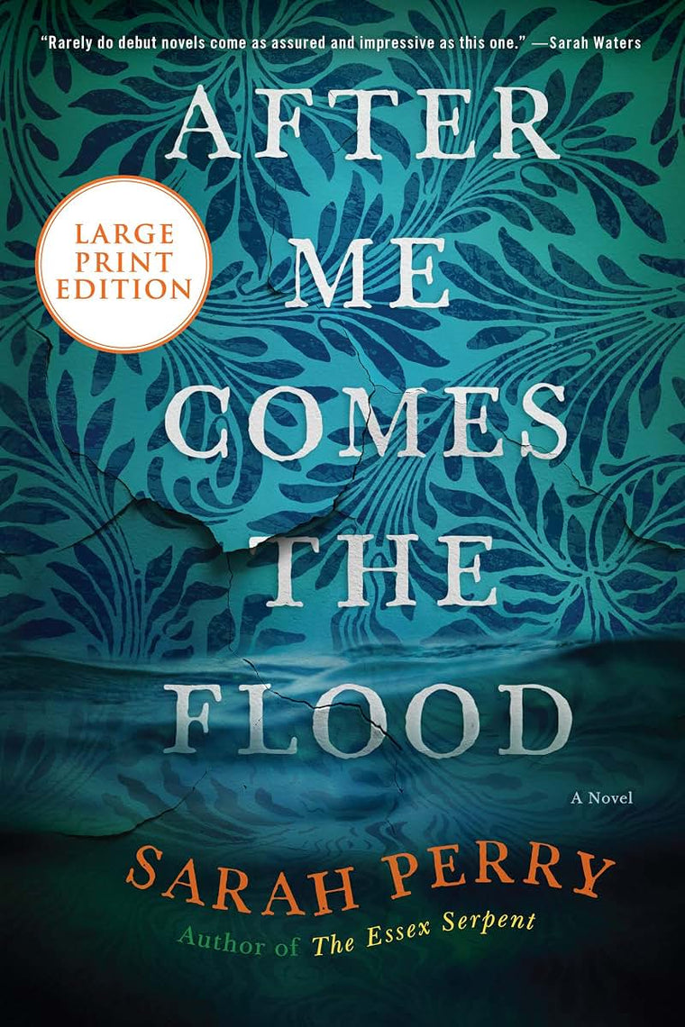 AFTER ME COMES FLOOD