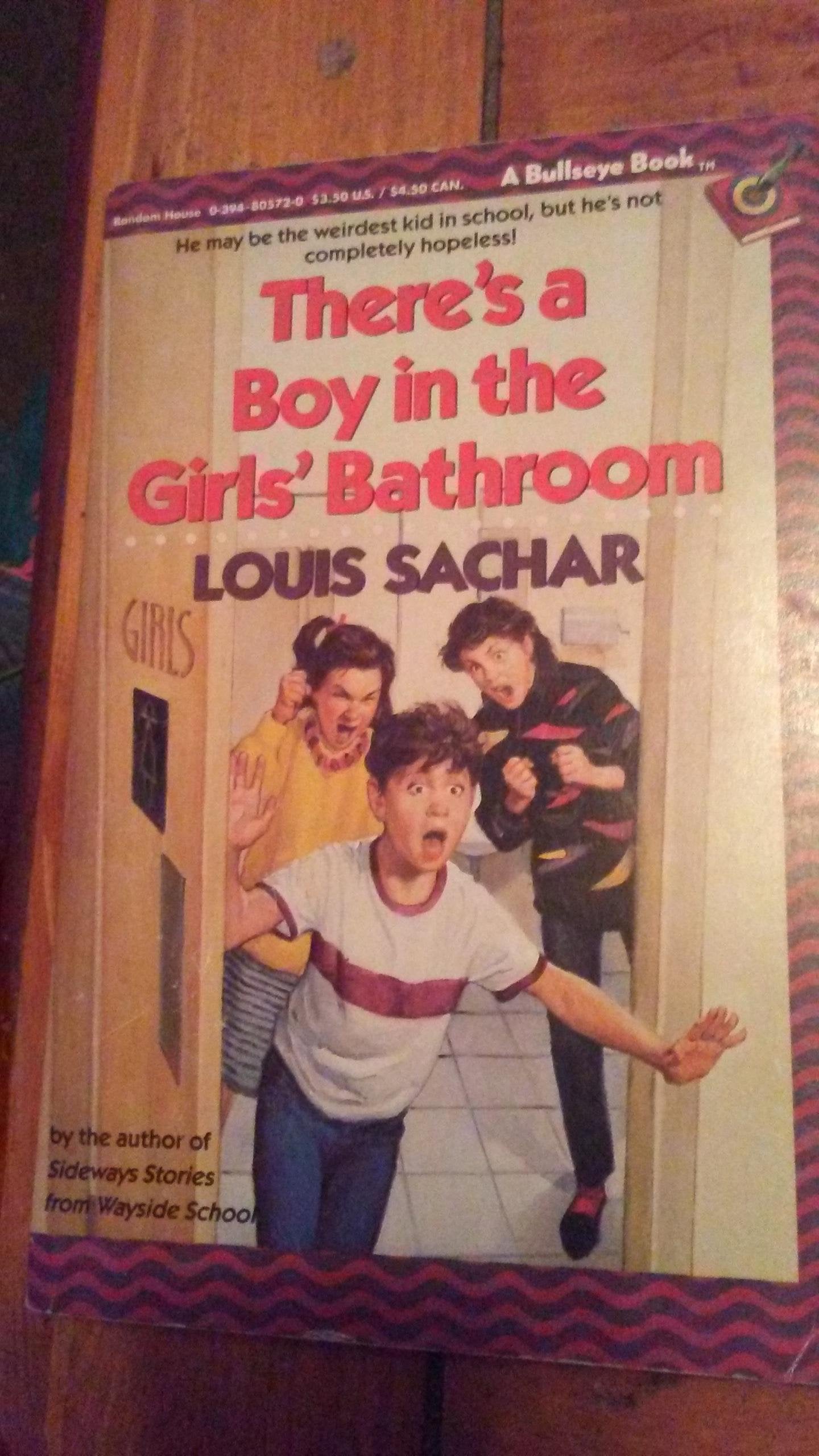 there's a boy in the girls' bathroom