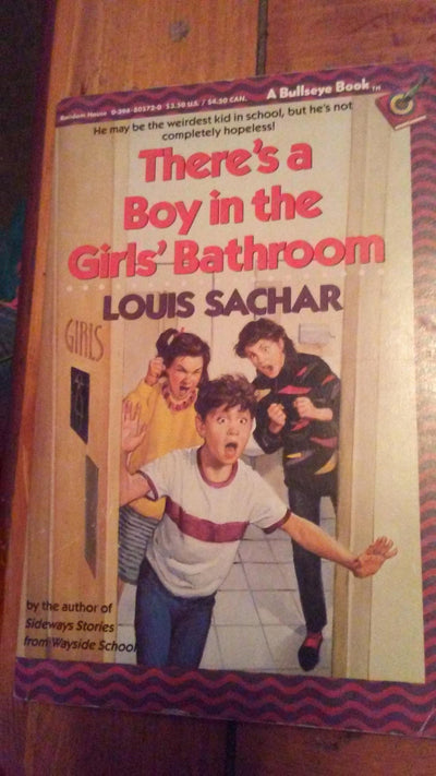there's a boy in the girls' bathroom