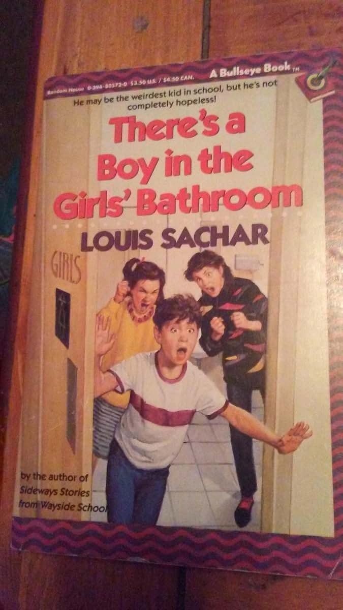 there's a boy in the girls' bathroom