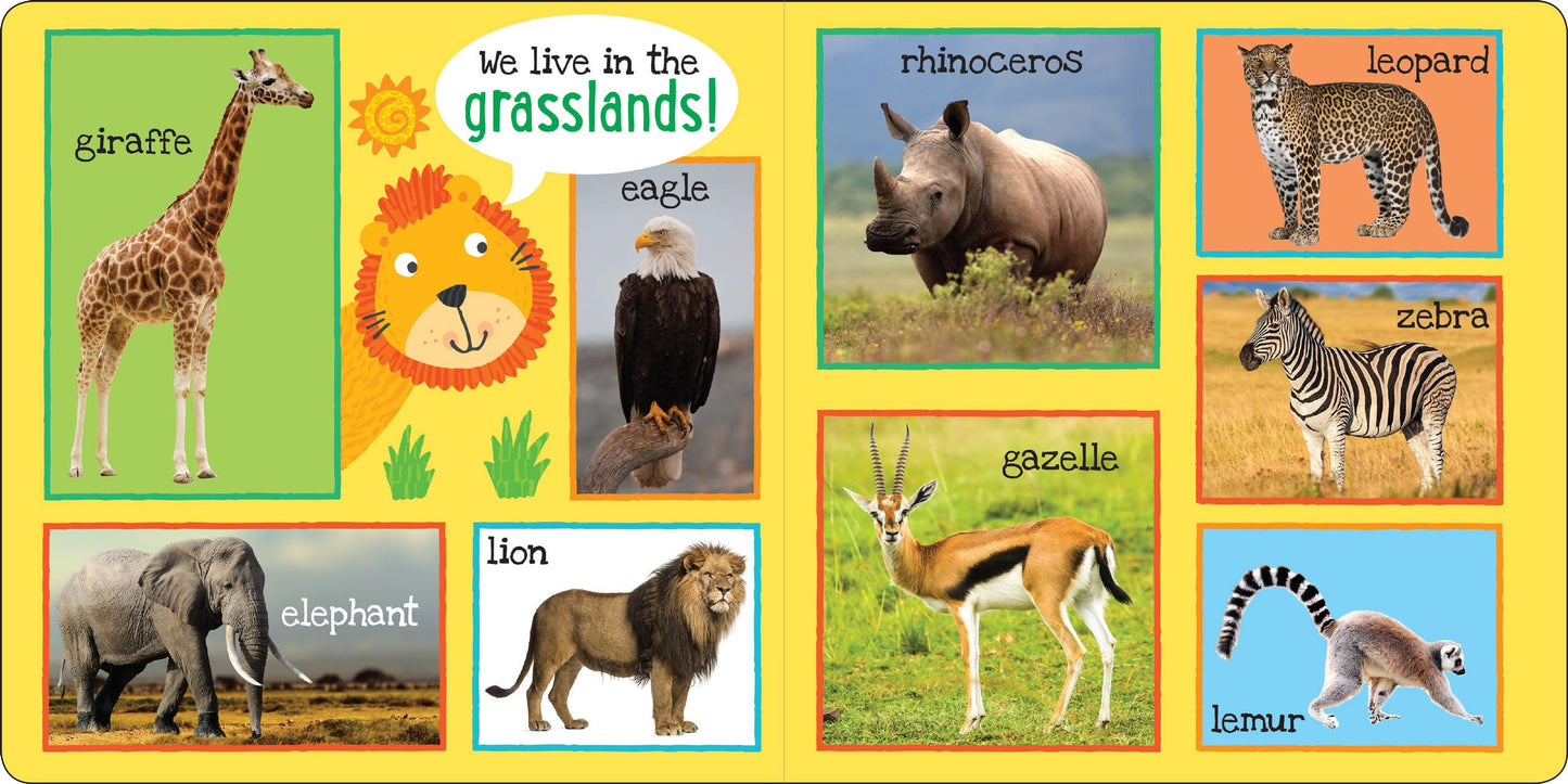 My First 101 ANIMALS Padded Board Book
