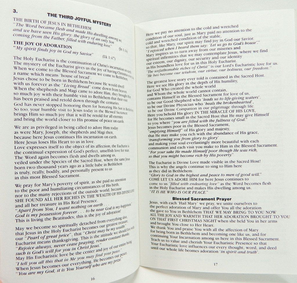 Rosary Meditations From Mother Teresa of Calcutta: Loving Jesus With the Heart of Mary: Eucharistic Meditations on the Fifteen Mysteries of the Rosary