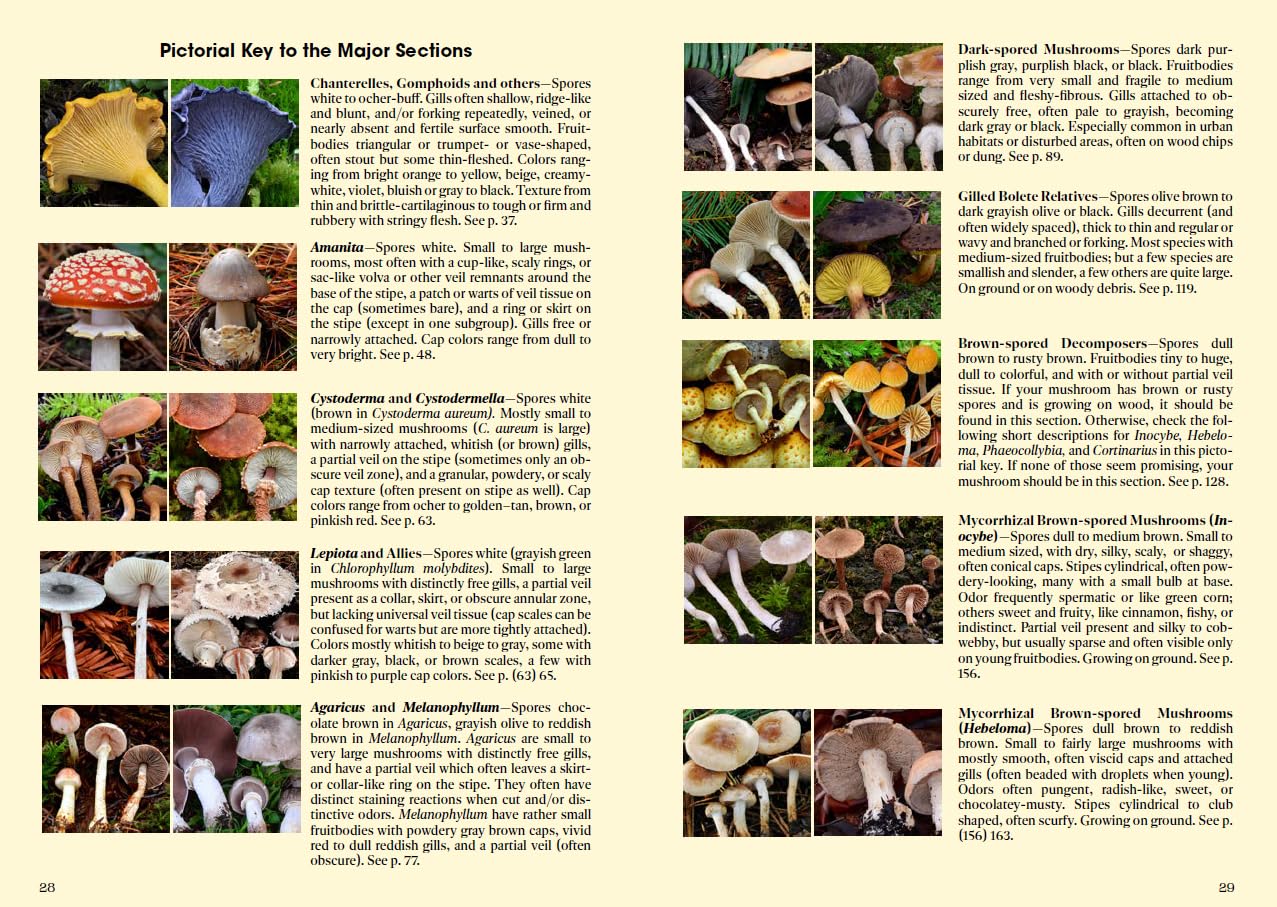 Mushrooms of Cascadia: A Comprehensive Guide to Fungi of the Pacific Northwest