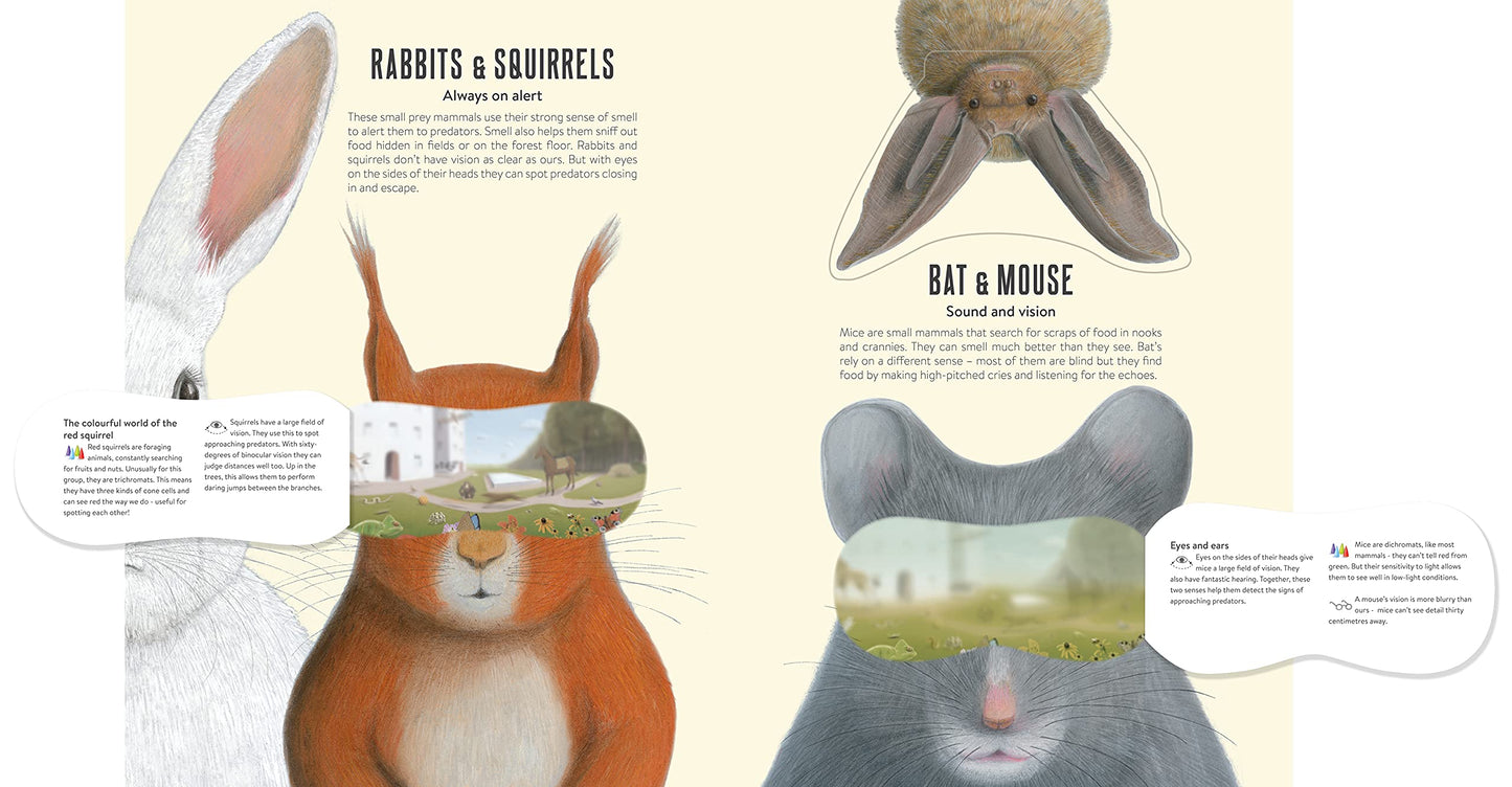 Eye Spy: Wild Ways Animals See the World