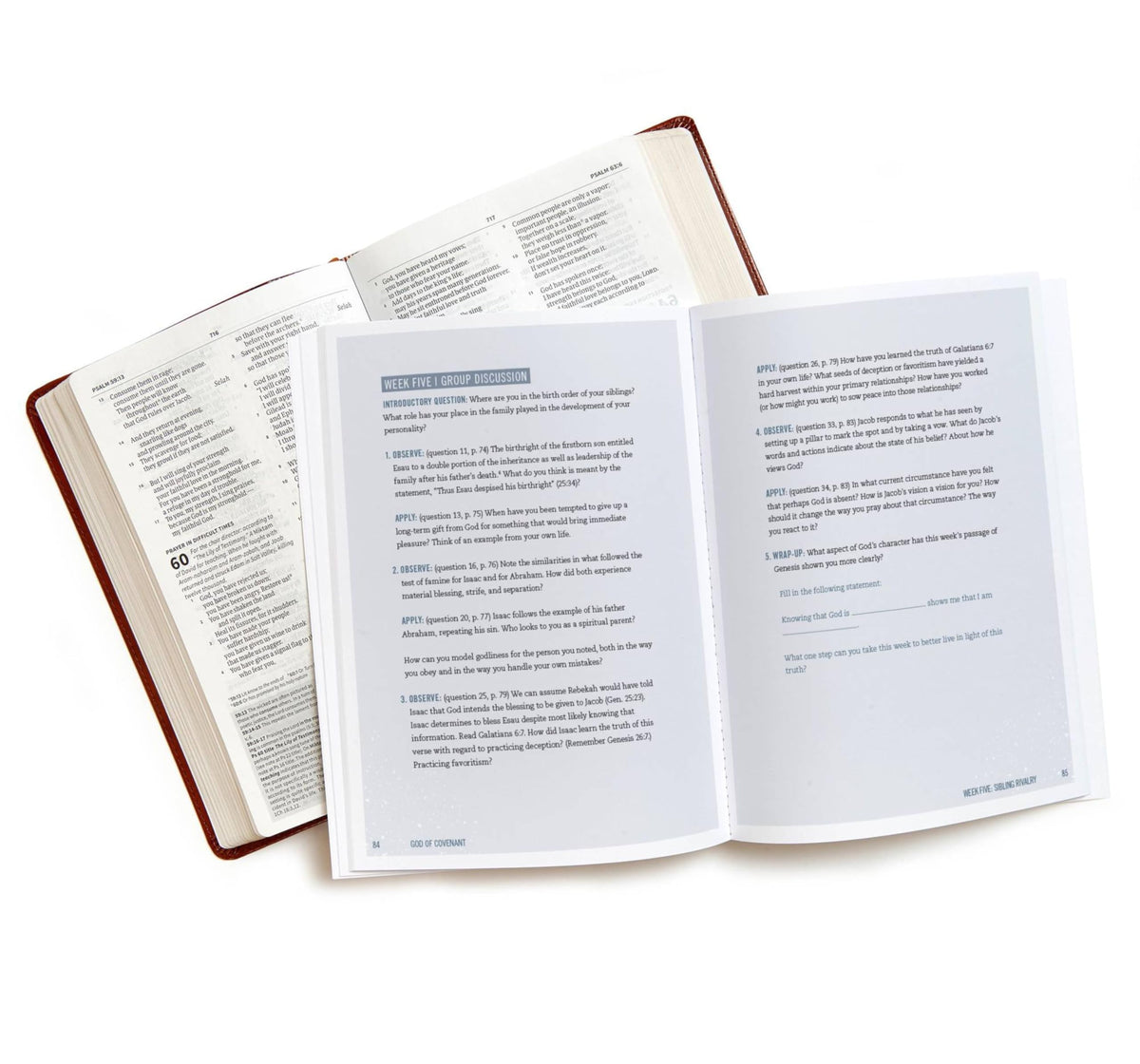 God of Covenant - Bible Study Book: A Study of Genesis 12-50