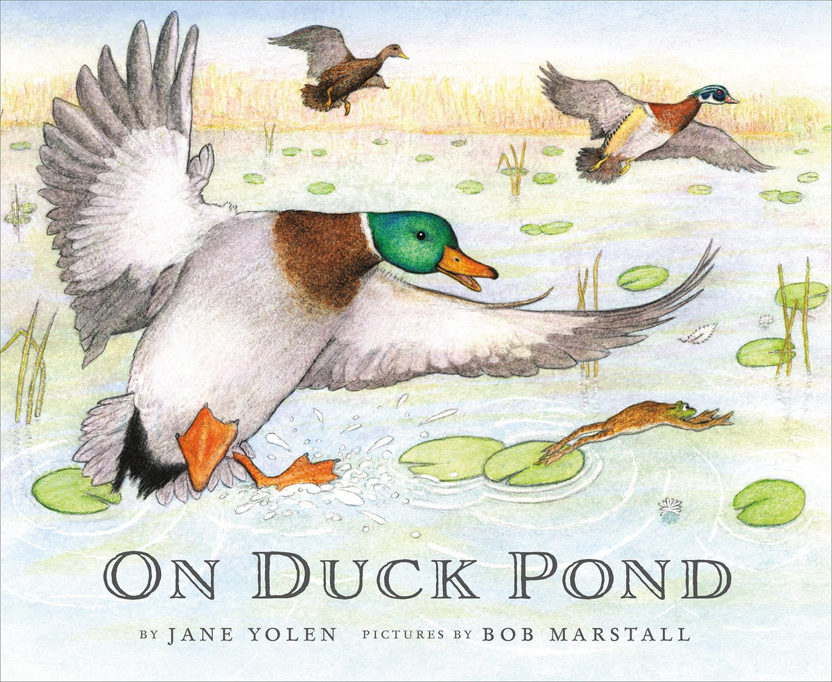 On Duck Pond (On Bird Hill and Beyond, 2)