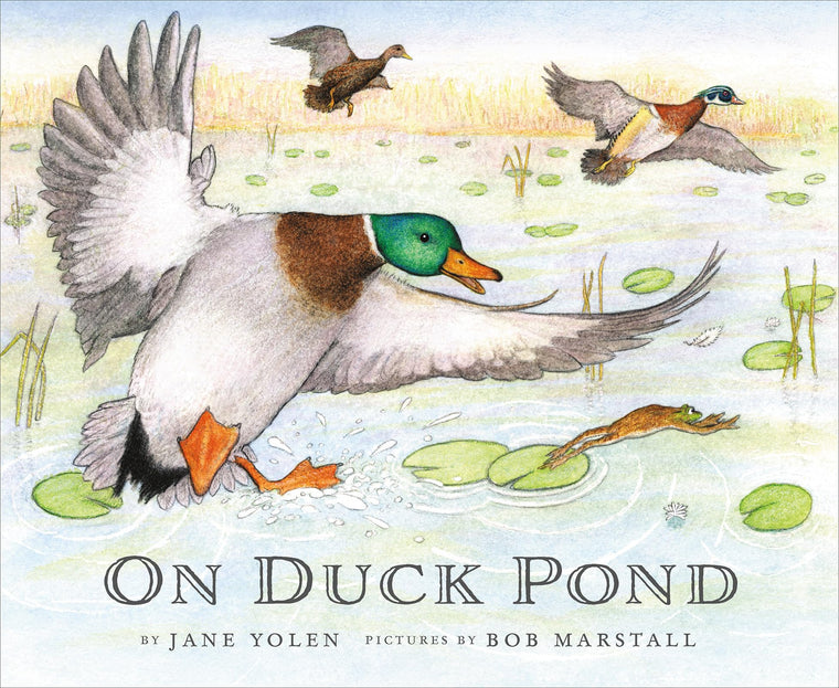 On Duck Pond (On Bird Hill and Beyond, 2)