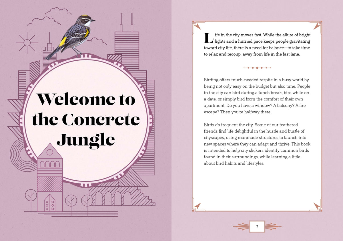 City Bird: Explore the Charming Metropolitan Melodies of Our Feathered Friends