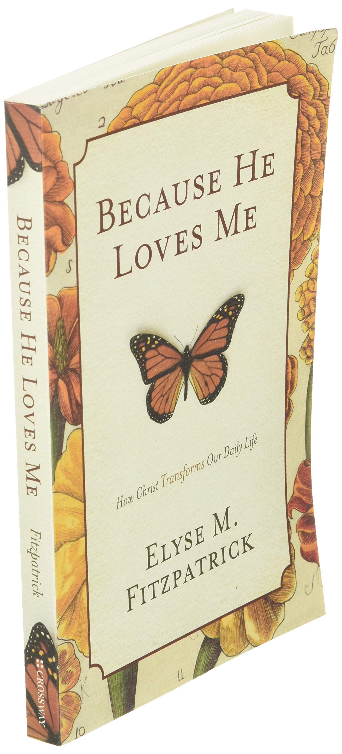 Because He Loves Me: How Christ Transforms Our Daily Life