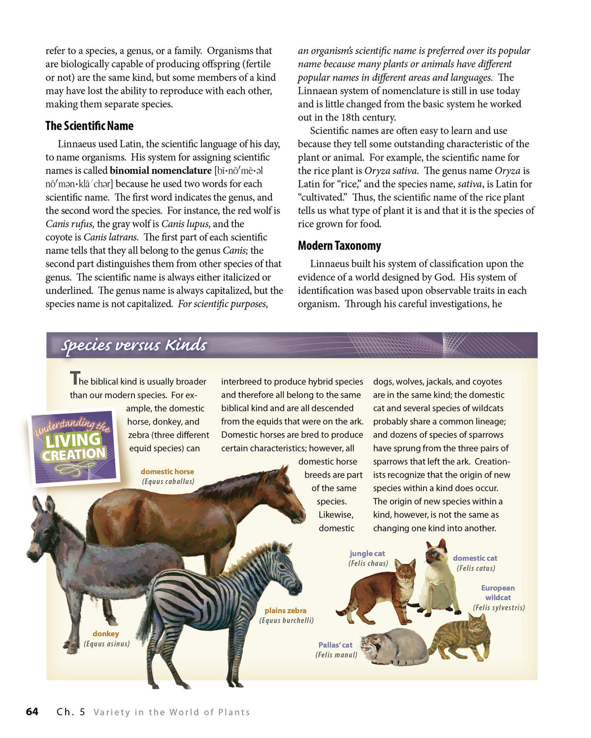 Biology: God's Living Creation