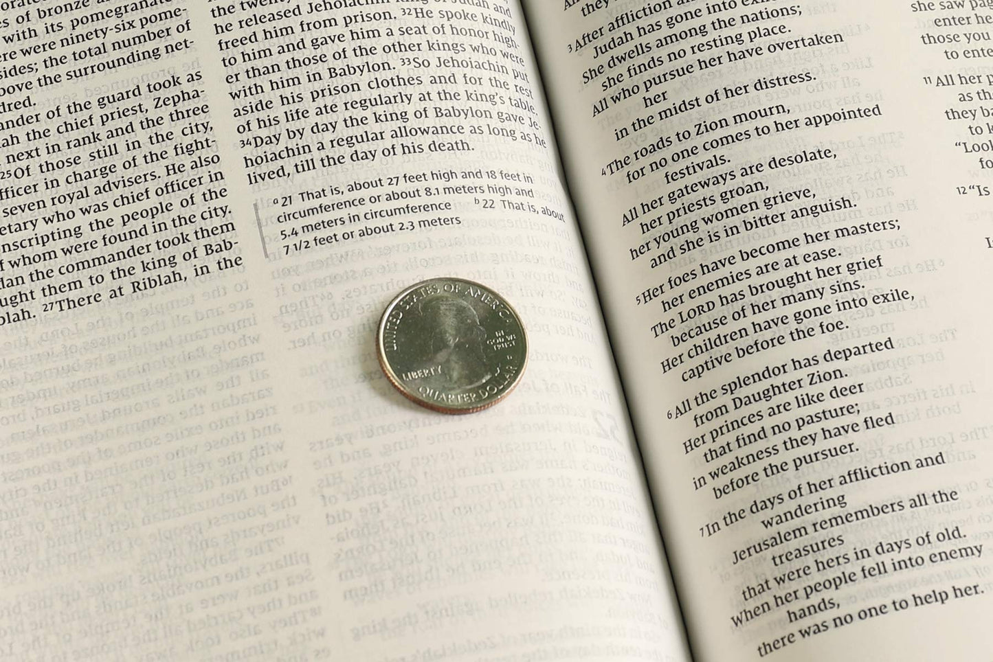 NIV Value Thinline Bible Leathersoft Pink Comfort Print