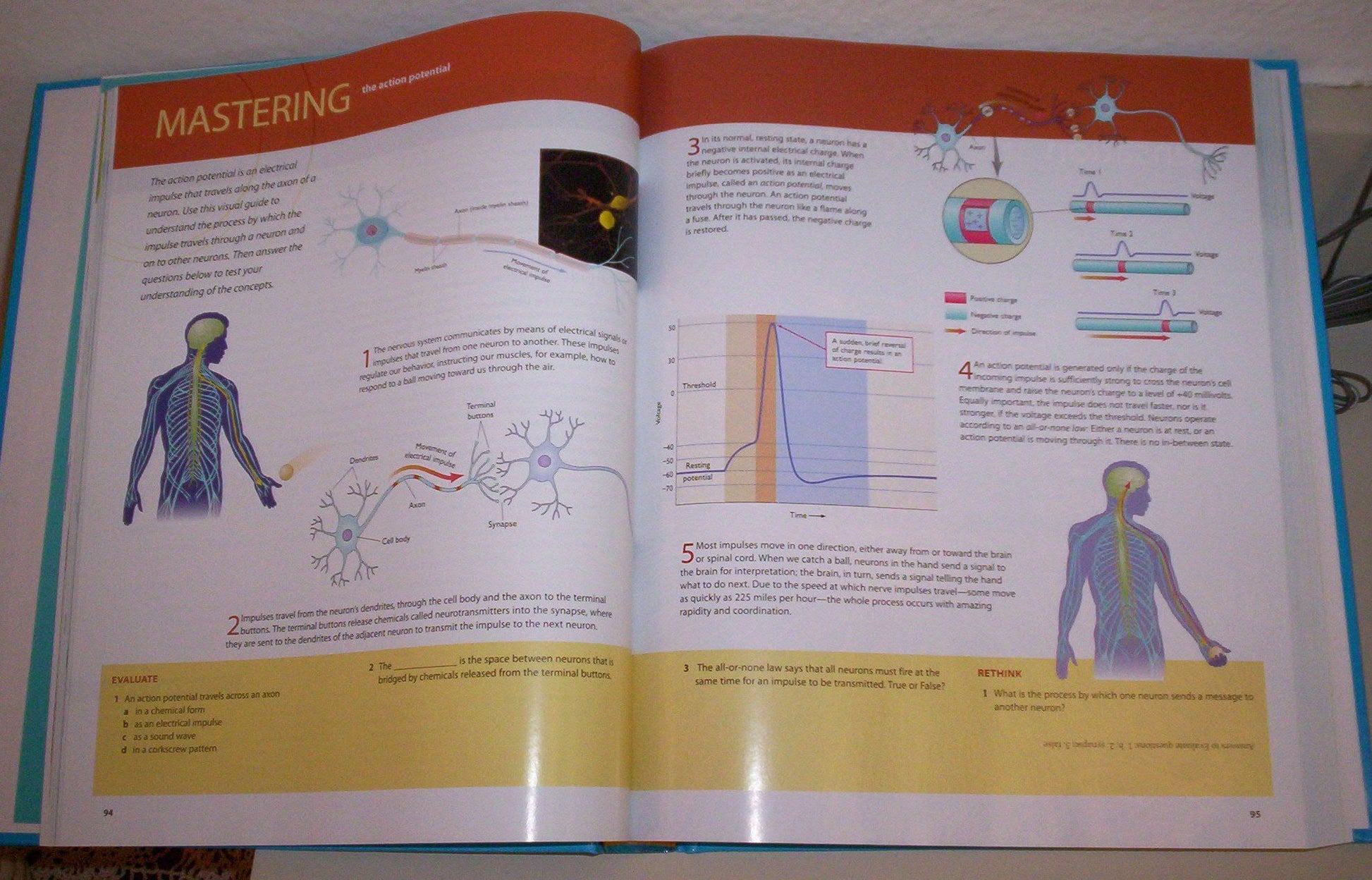 Understanding Psychology