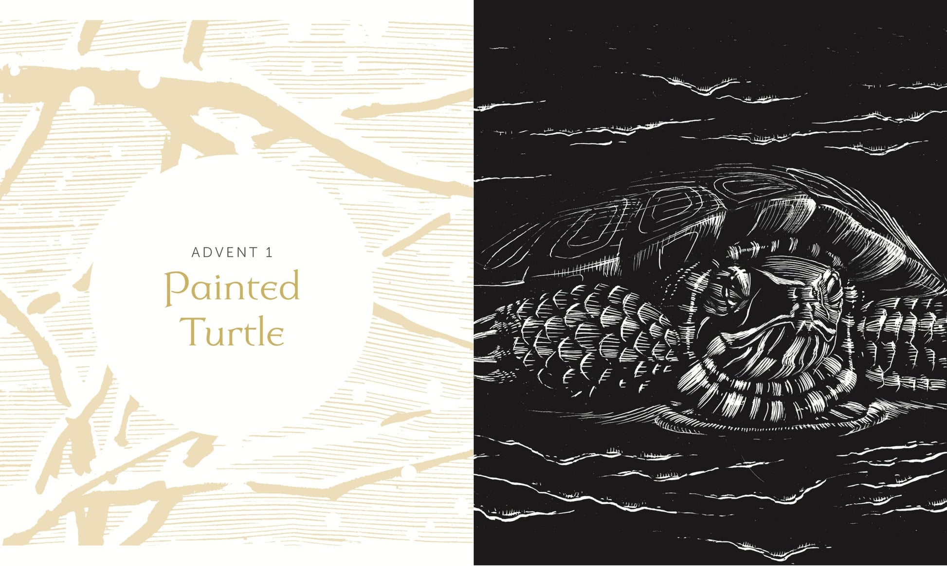 All Creation Waits - Gift Edition: The Advent Mystery of New Beginnings (An illustrated Advent devotional with 25 woodcut animal portraits)