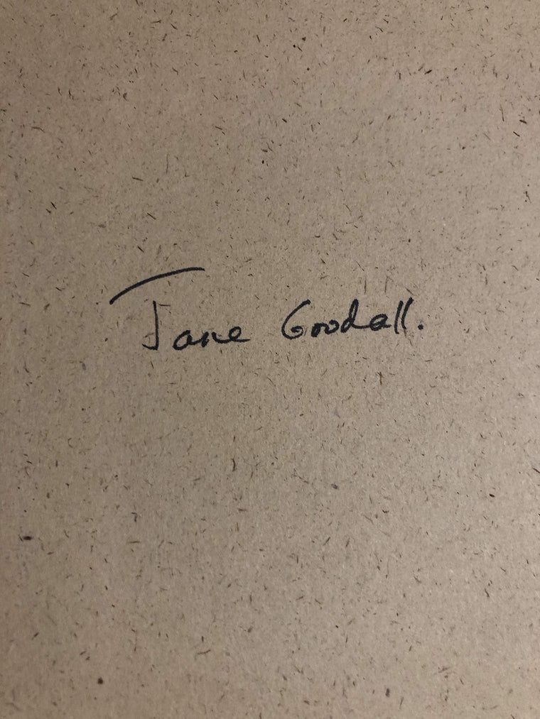 The Chimpanzees of Gombe: Patterns of Behavior — back cover