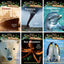 Magic Tree House Fact Trackers Series Complete 44 Book Collection Set