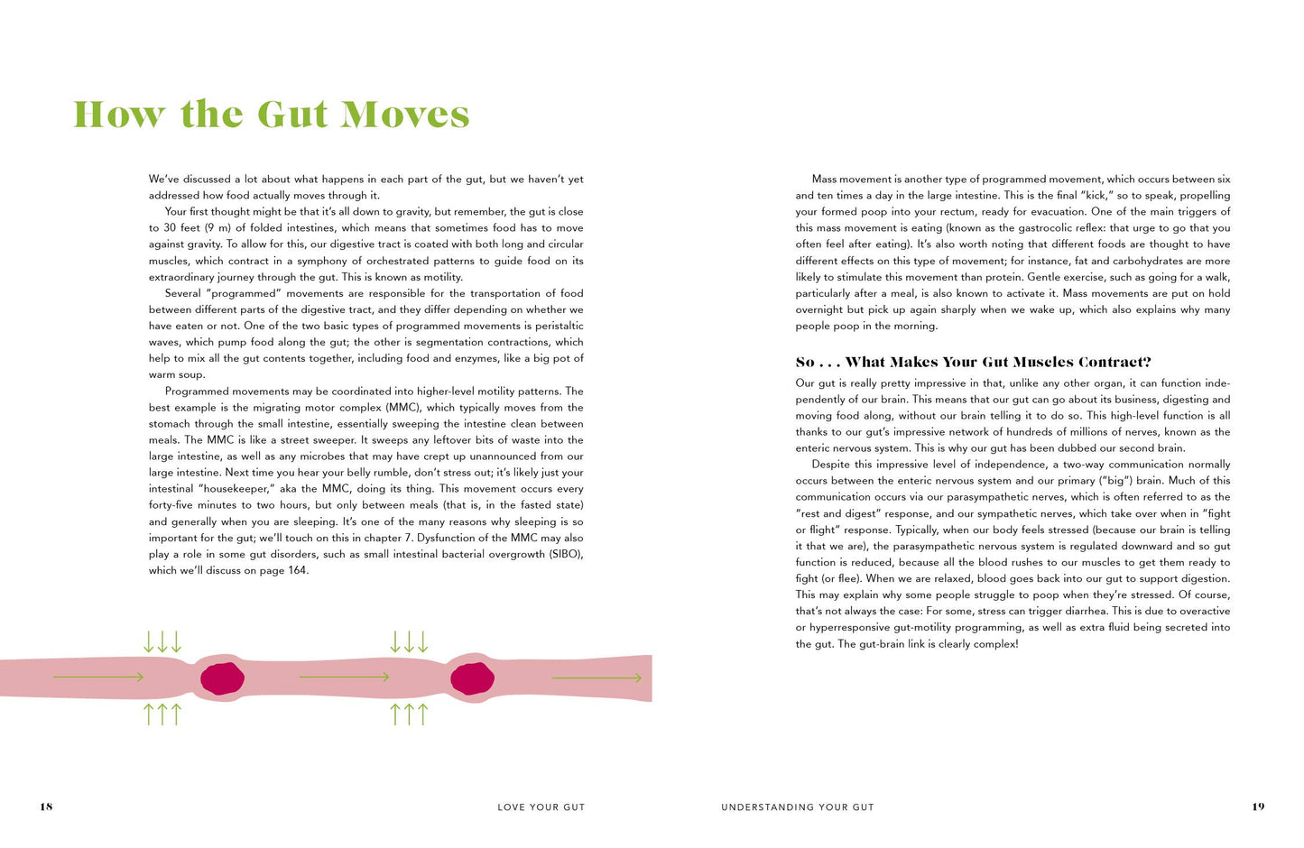 Love Your Gut: Supercharge Your Digestive Health and Transform Your Well-Being from the Inside Out