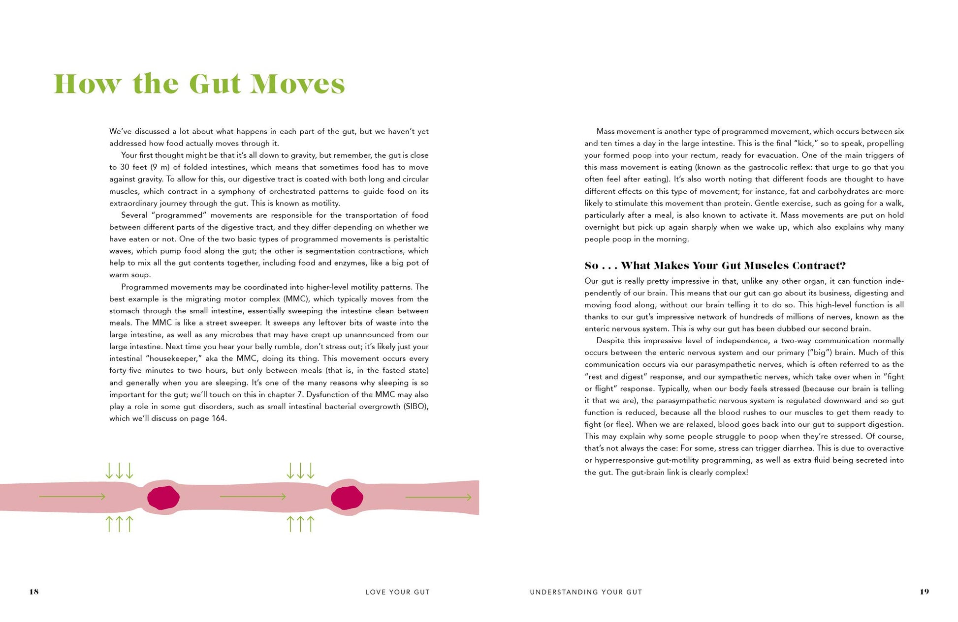 Love Your Gut: Supercharge Your Digestive Health and Transform Your Well-Being from the Inside Out