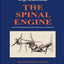 The Spinal Engine