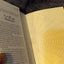 From the Dust Returned: A Novel