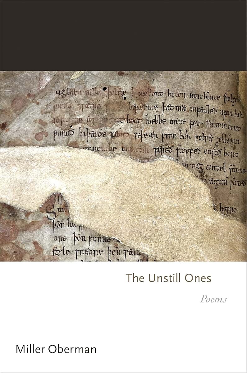 The Unstill Ones: Poems (Princeton Series of Contemporary Poets)