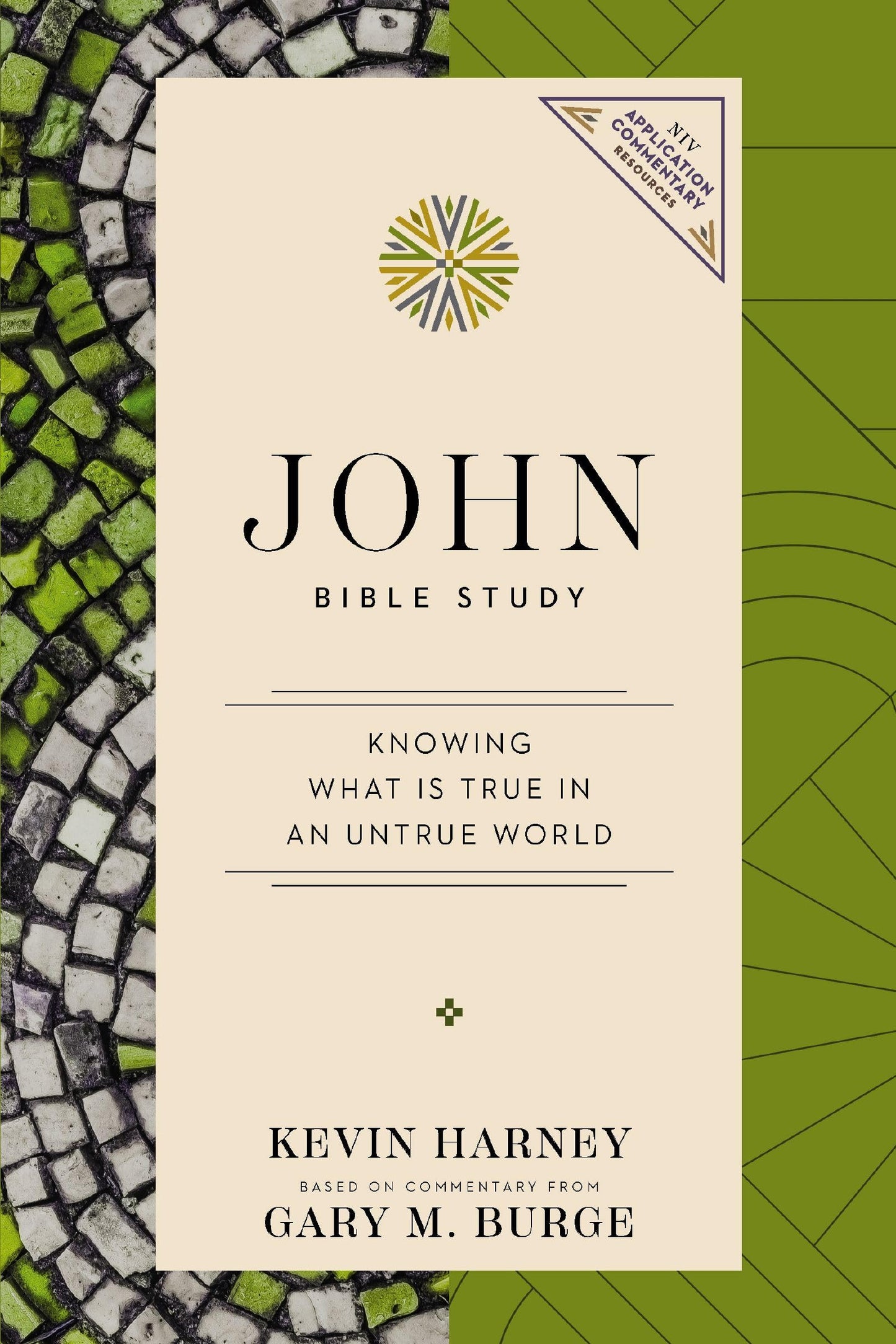 John Bible Study: Knowing What Is True in an Untrue World (NIV Application Commentary Resources)