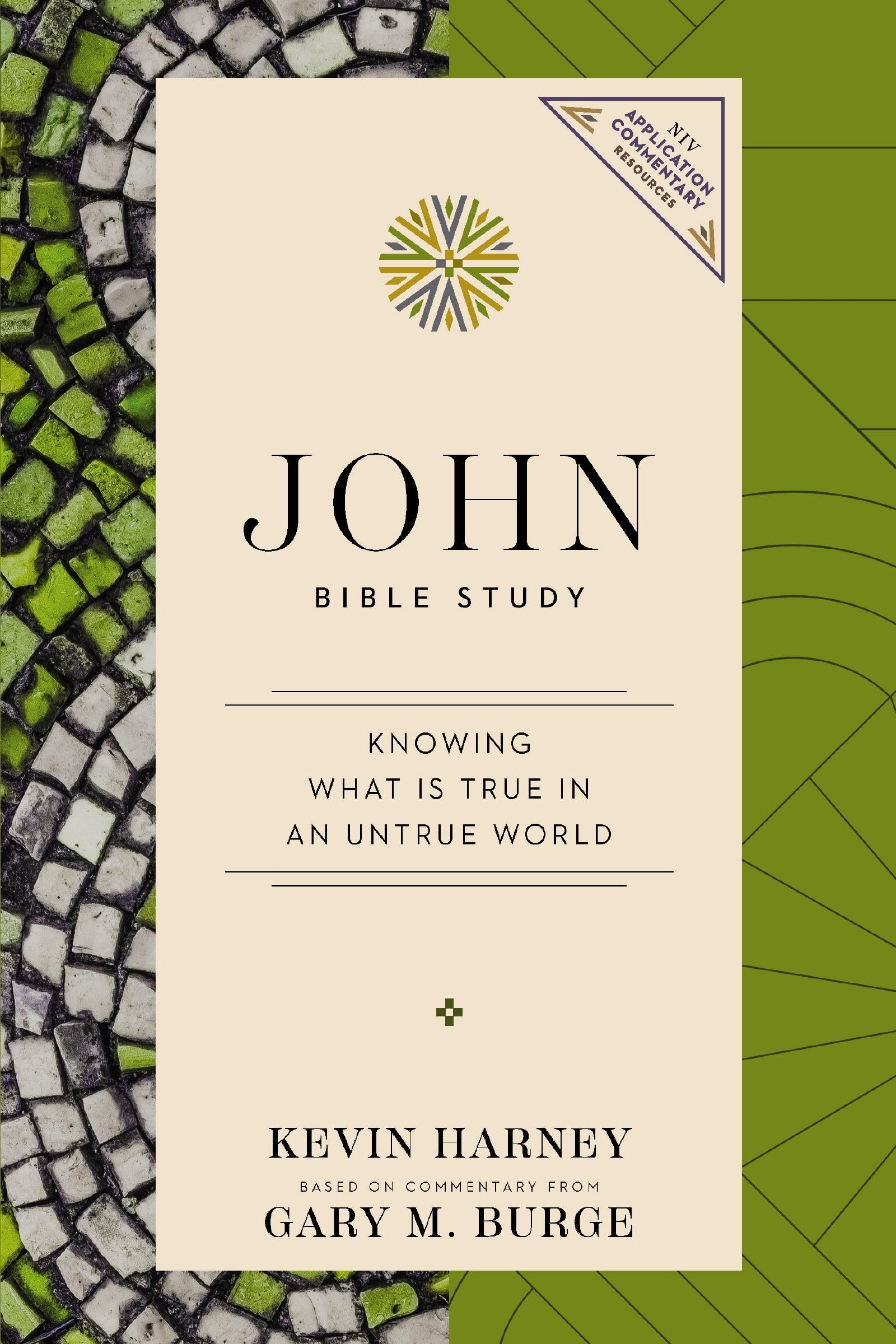 John Bible Study: Knowing What Is True in an Untrue World (NIV Application Commentary Resources)