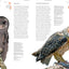 Owls: A Guide to Every Species in the World