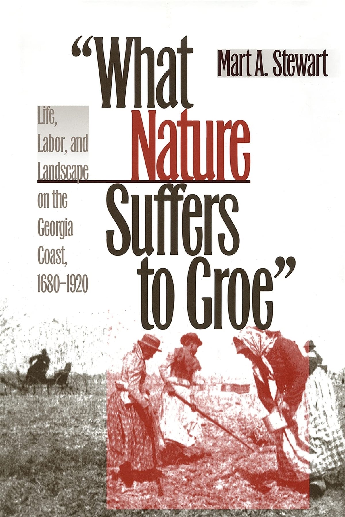What Nature Suffers to Groe: Life, Labor, and Landscape on the Georgia Coast, 1680-1920 (Wormsloe Foundation Publication Ser.)