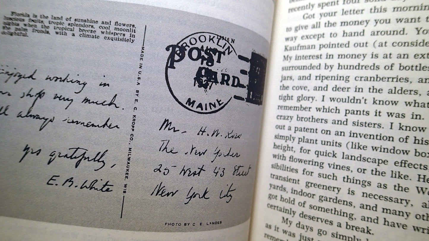 Letters and Essays of E.B. White by White, E. B.