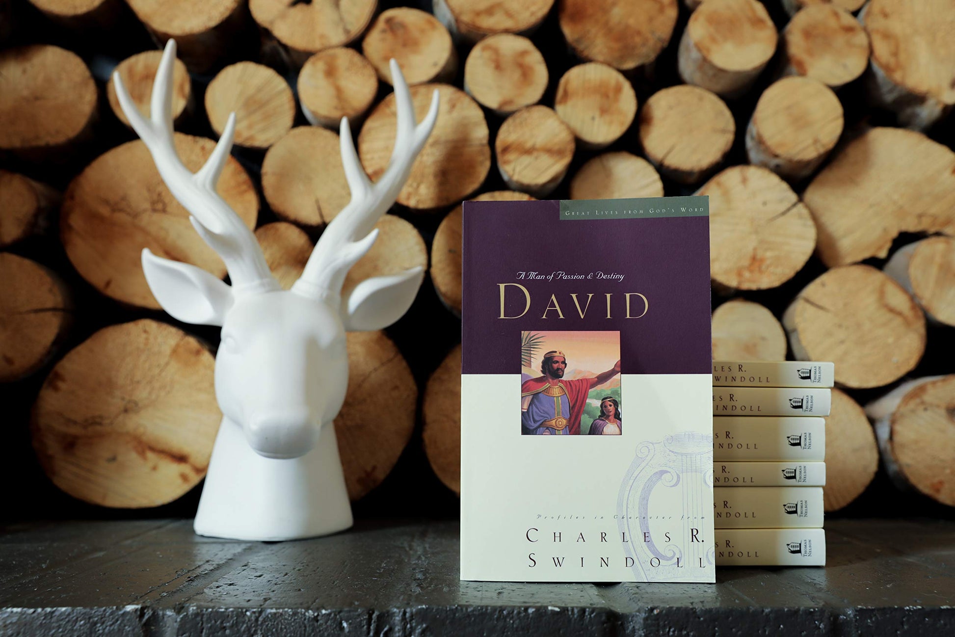 Great Lives: David: A Man of Passion and Destiny (Discover More About the Real King David of the Bible. The Perfect Gift for Fans of House of David) (Great Lives Series)