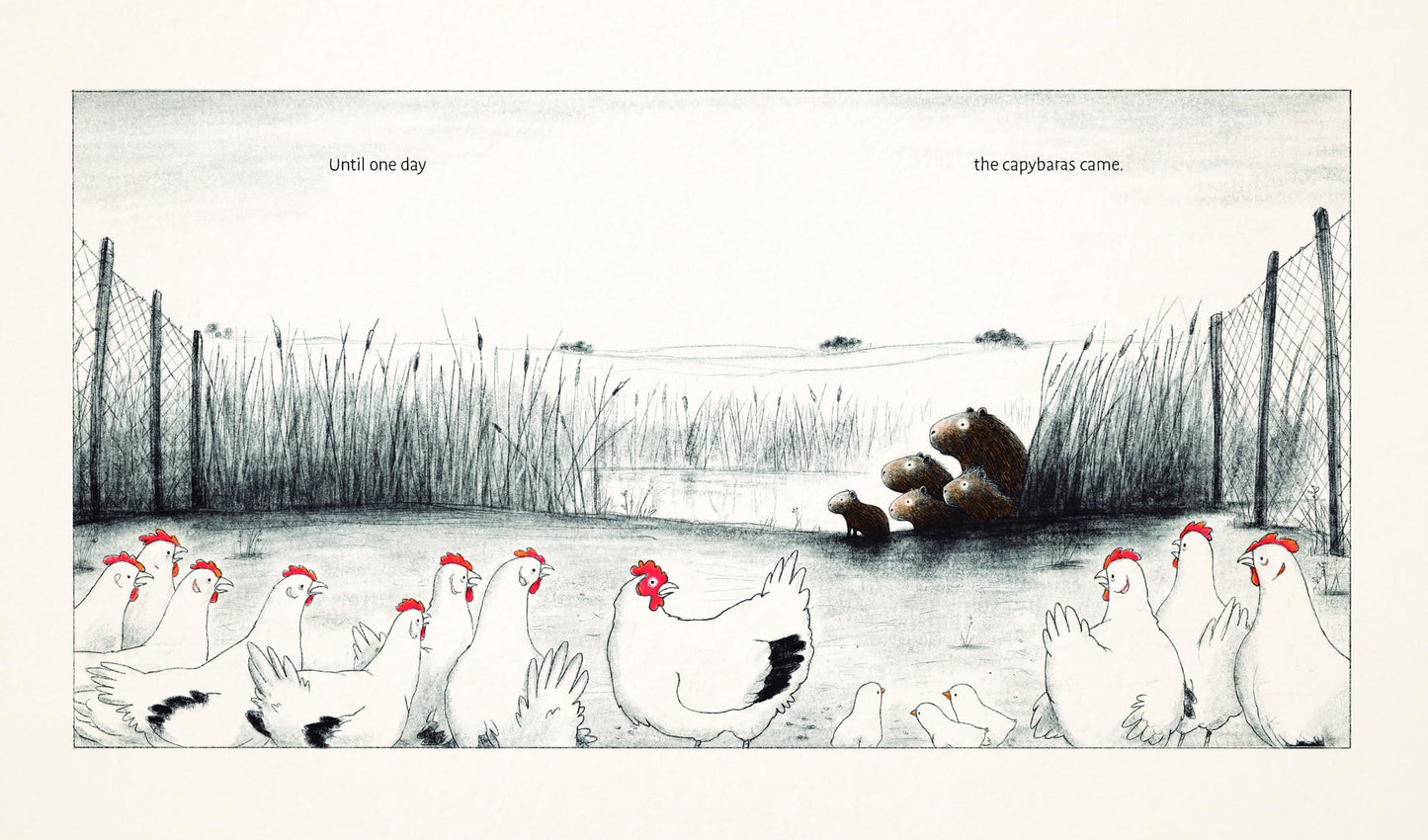 The Capybaras (Aldana Libros)