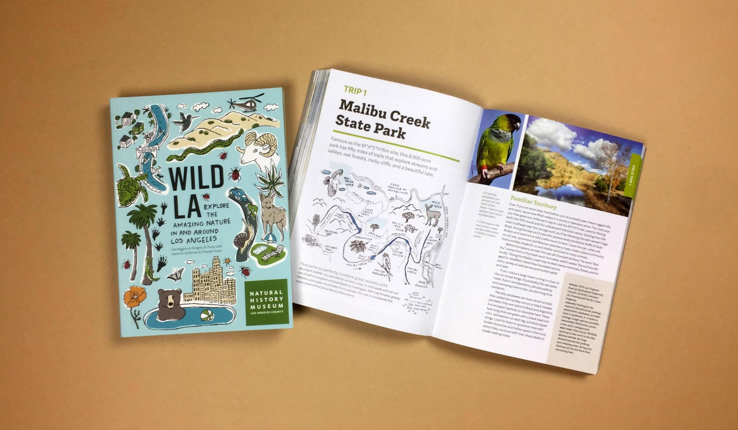 Wild LA: Explore the Amazing Nature in and Around Los Angeles (Wild Series)