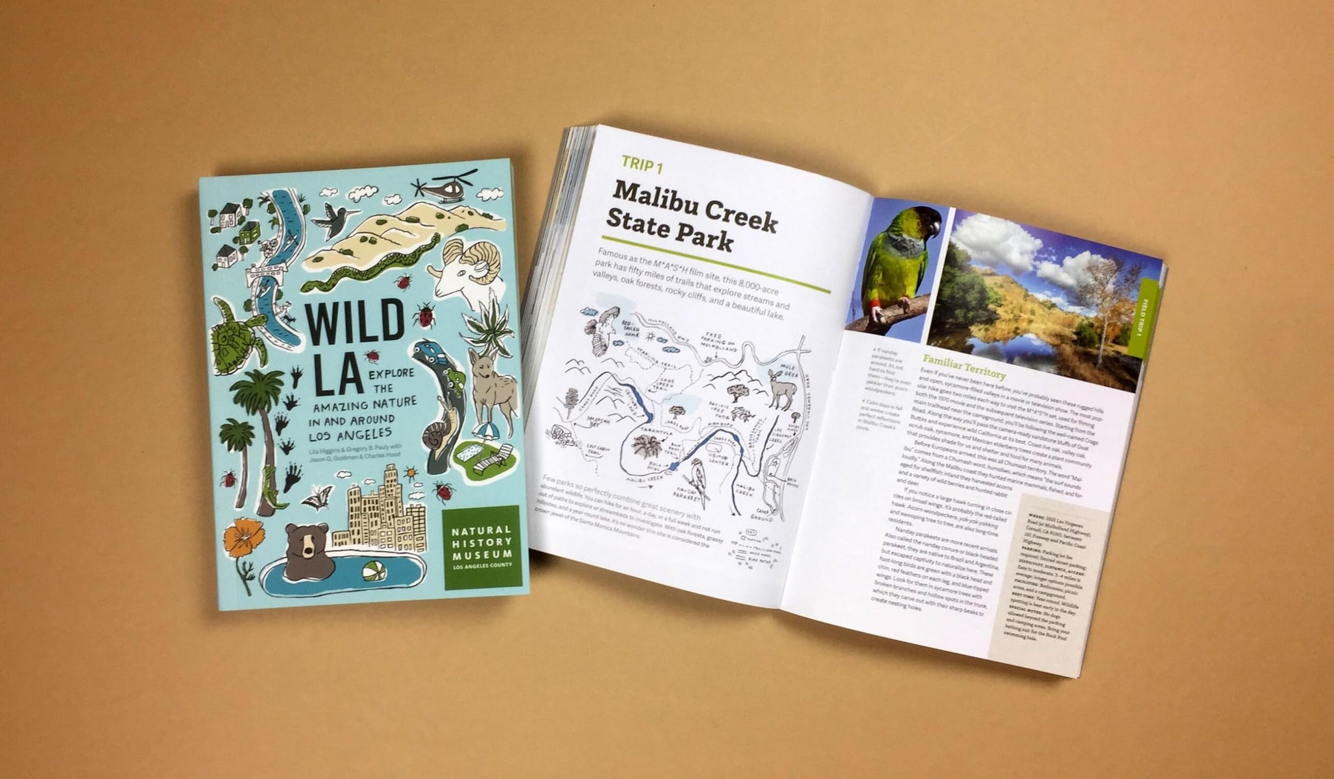 Wild LA: Explore the Amazing Nature in and Around Los Angeles (Wild Series)