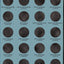 Whitman Nat Park Blue Folder Vol 1 2010-2015 (Official Whitman Coin Folder)