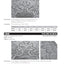 Cherrypickers' Guide To Rare Die Varieties of United States Coins, Volume 1 (Cherrypicker's Guides)