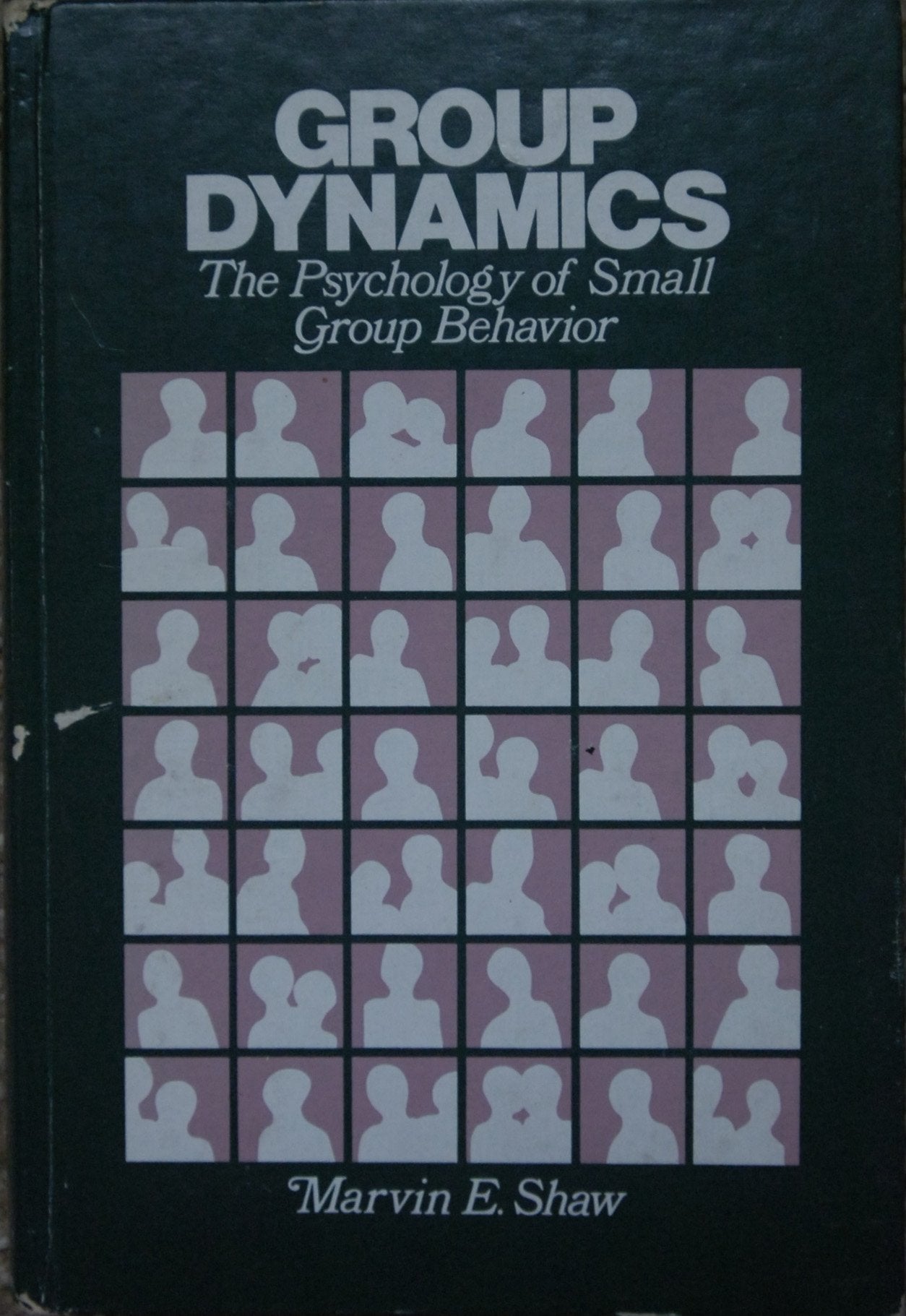 Group Dynamics: The Psychology of Small Group Behavior (McGraw-Hill series in psychology)