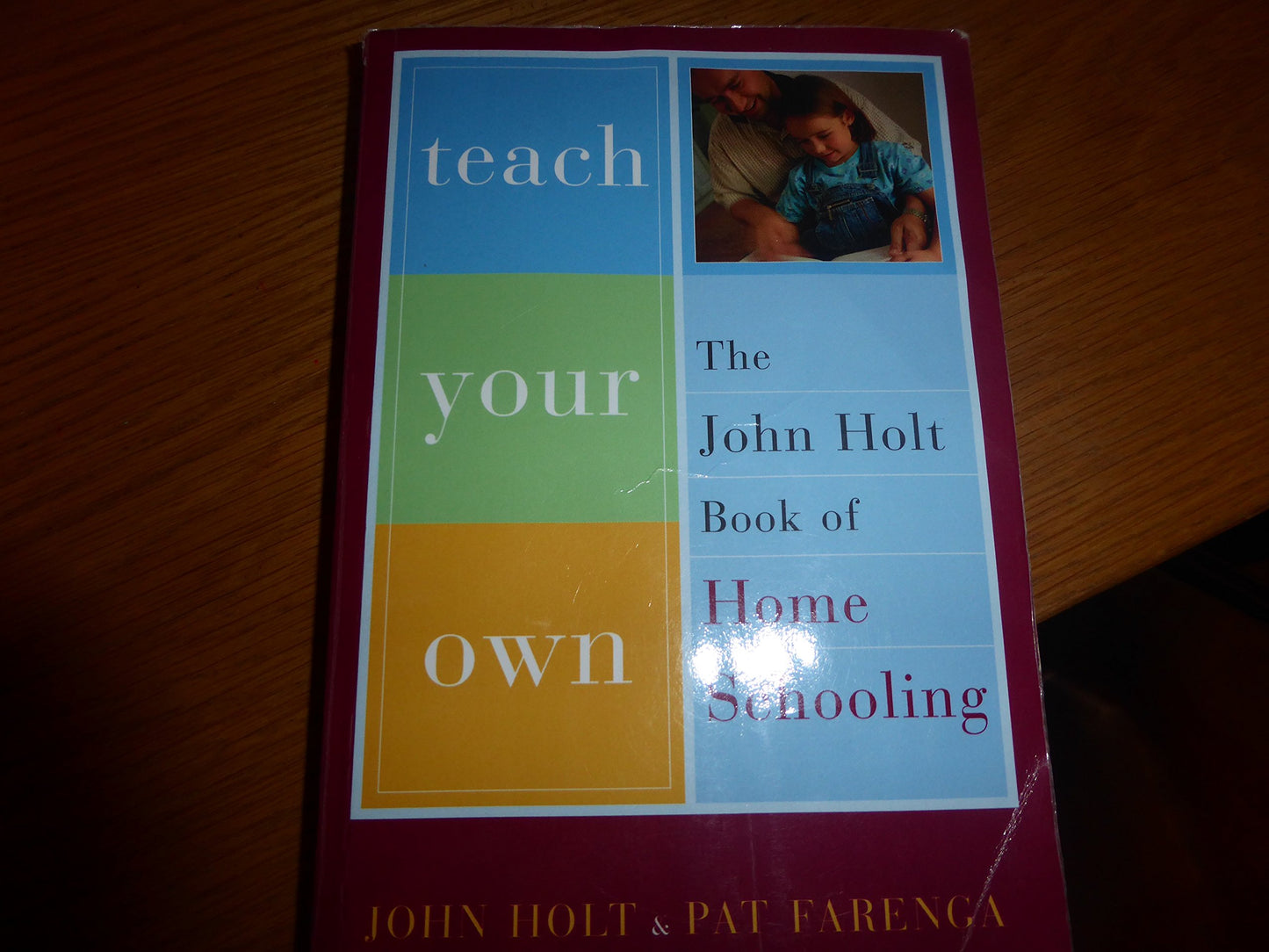 Teach Your Own: The John Holt Book Of Homeschooling by Holt,