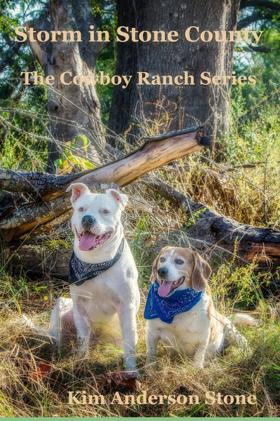 Storm in Stone County (The Cowboy Ranch)