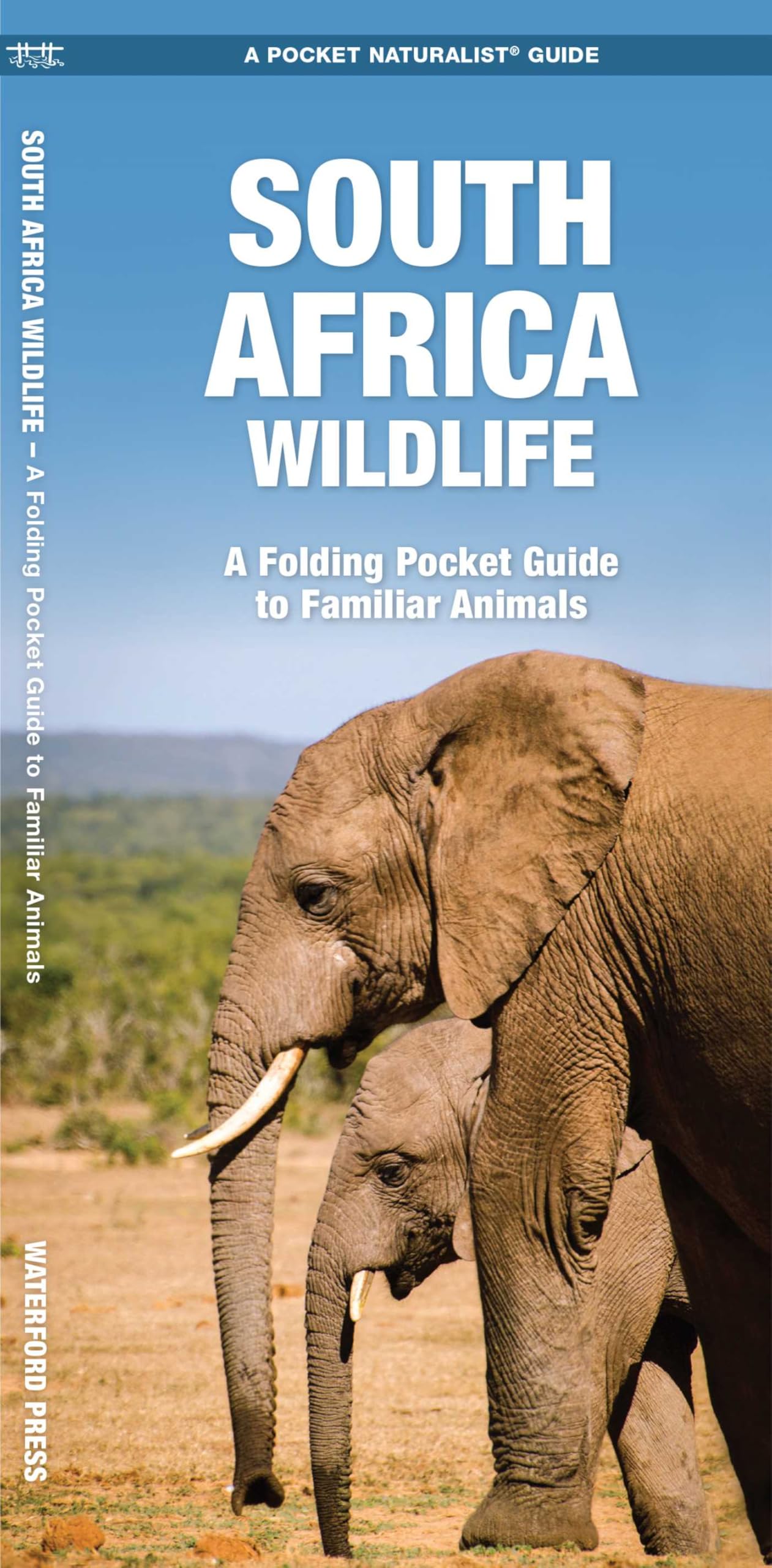 South Africa Wildlife: A Folding Pocket Guide to Familiar Animals (Nature Observation International)