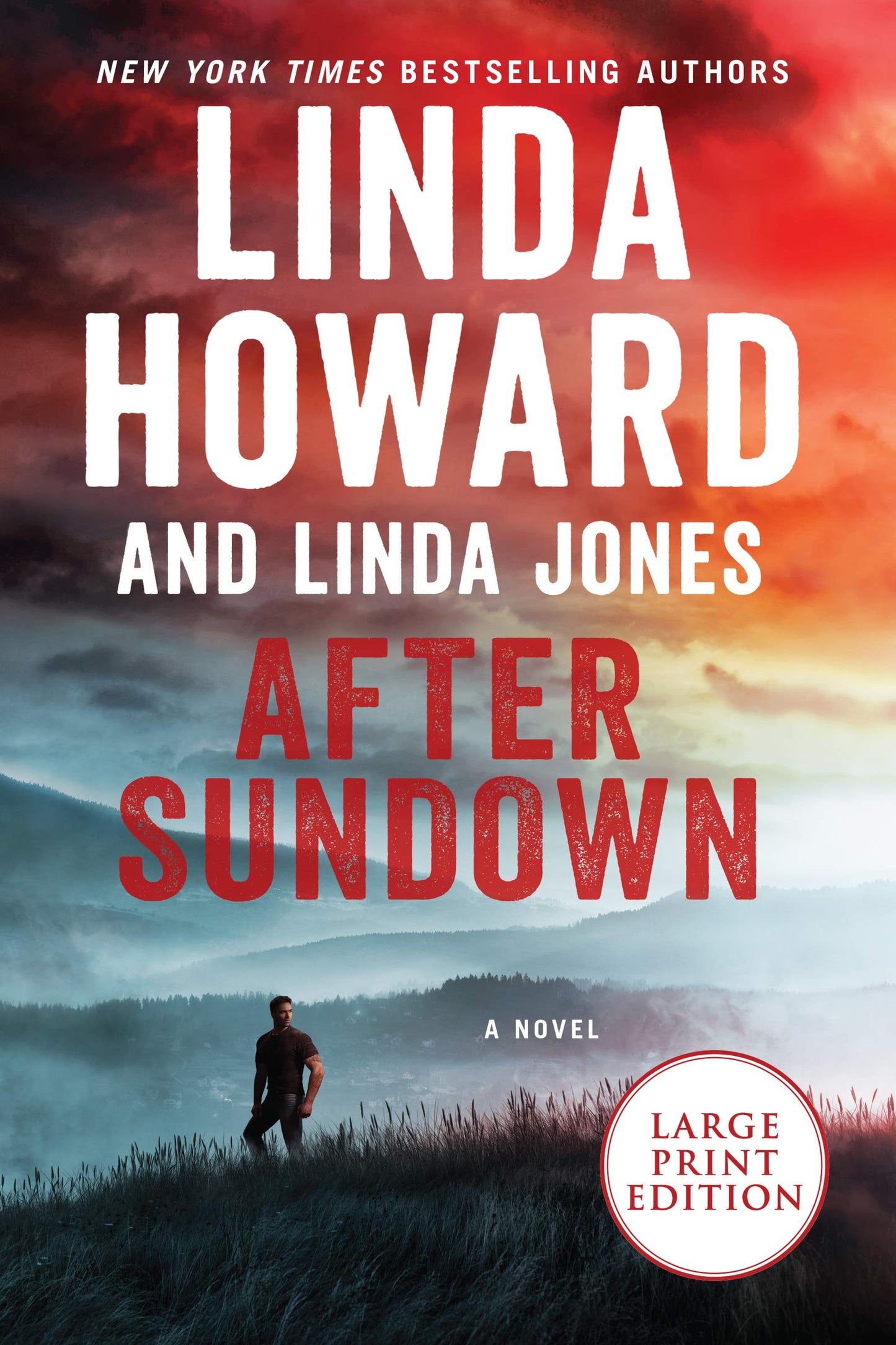 After Sundown: A Novel