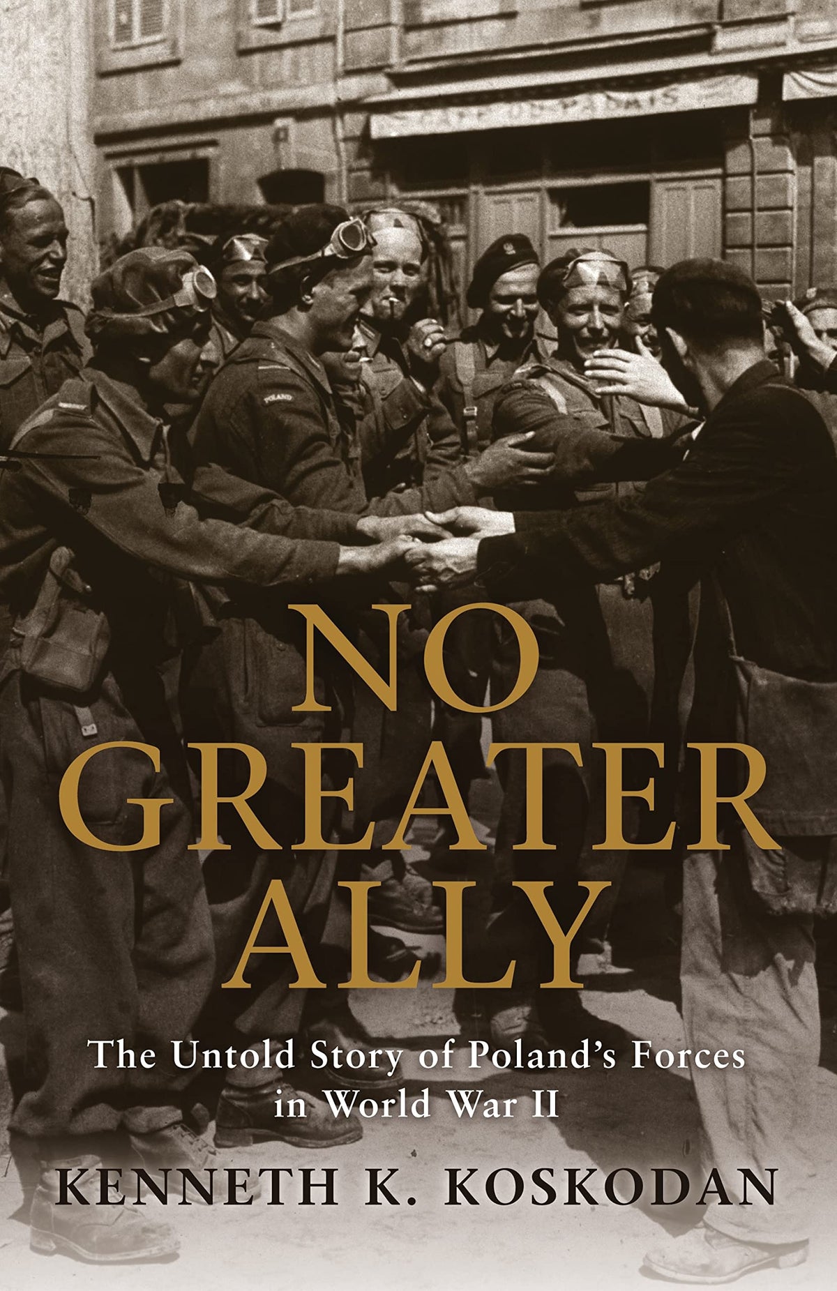 No Greater Ally: The Untold Story of Polands Forces in World War II (General Military)