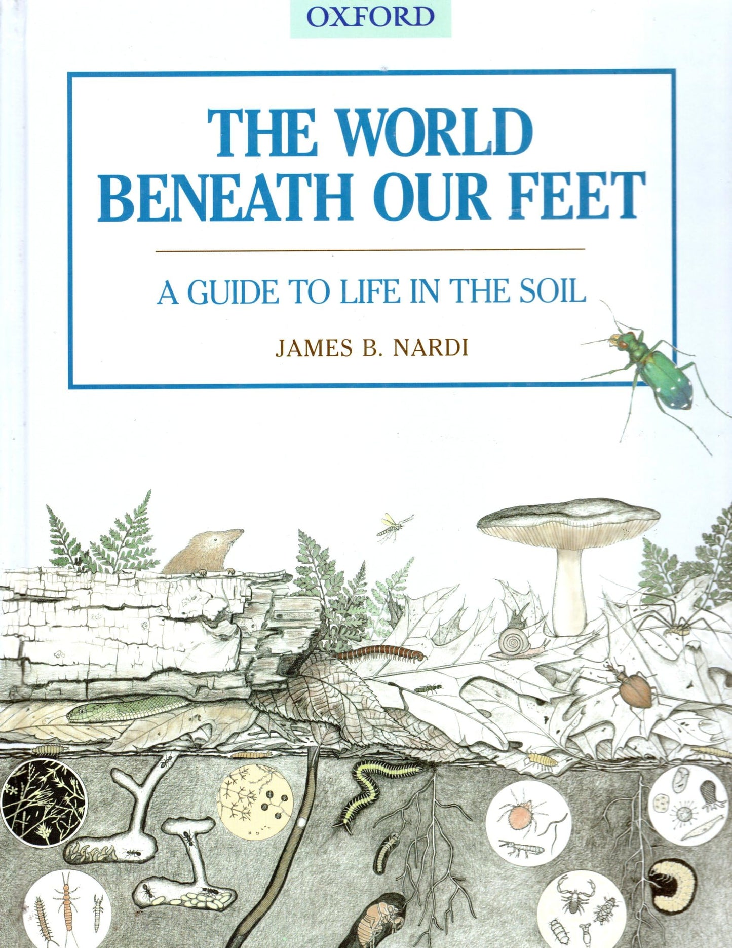 The World Beneath Our Feet: A Guide to Life in the Soil by N