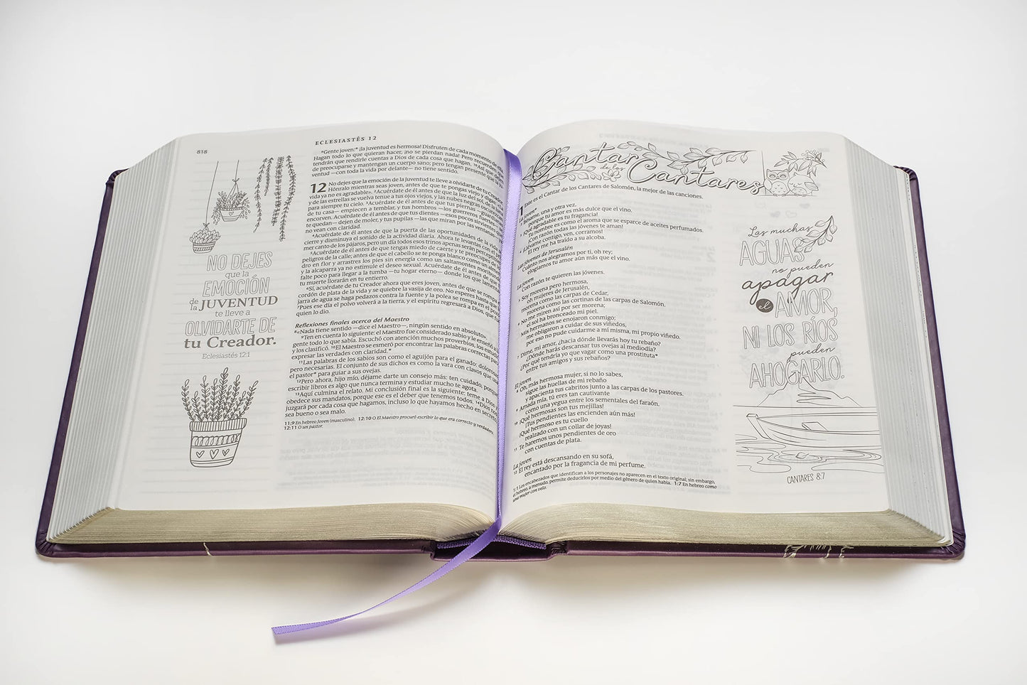 Biblia Inspira NTV (Tapa dura de SentiPiel, Lavanda): La Biblia que inspira tu creatividad (Spanish Edition)