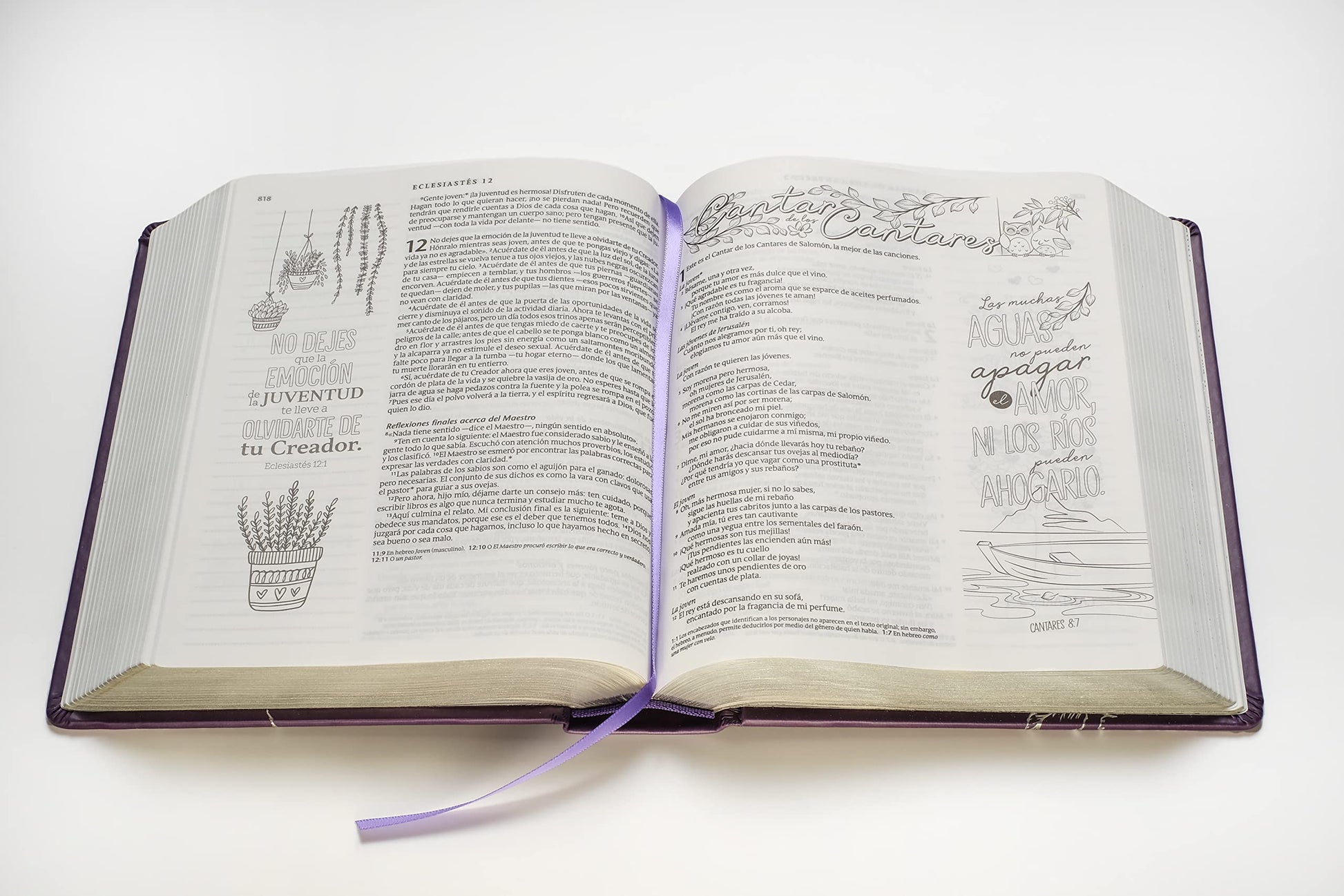 Biblia Inspira NTV (Tapa dura de SentiPiel, Lavanda): La Biblia que inspira tu creatividad (Spanish Edition)