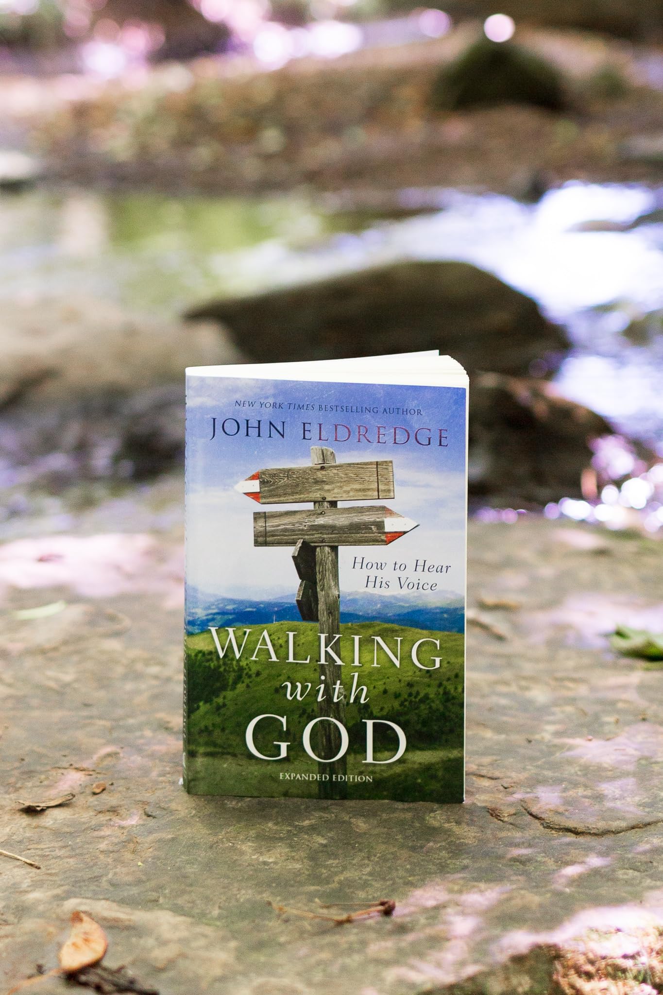 Walking with God: How to Hear His Voice