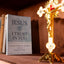 Jesus I Trust in You: A 30-Day Personal Retreat with the Litany of Trust