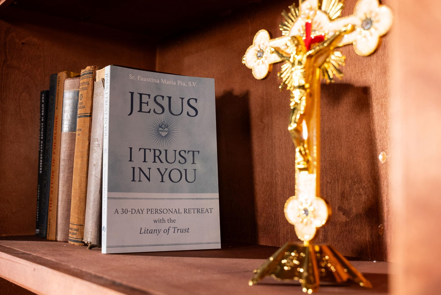Jesus I Trust in You: A 30-Day Personal Retreat with the Litany of Trust